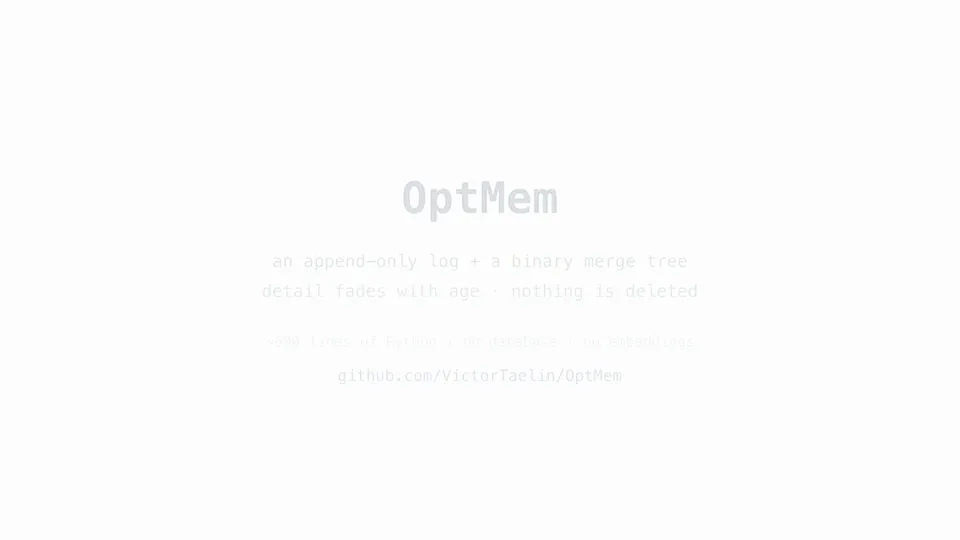 OptMem 普通文本笔记