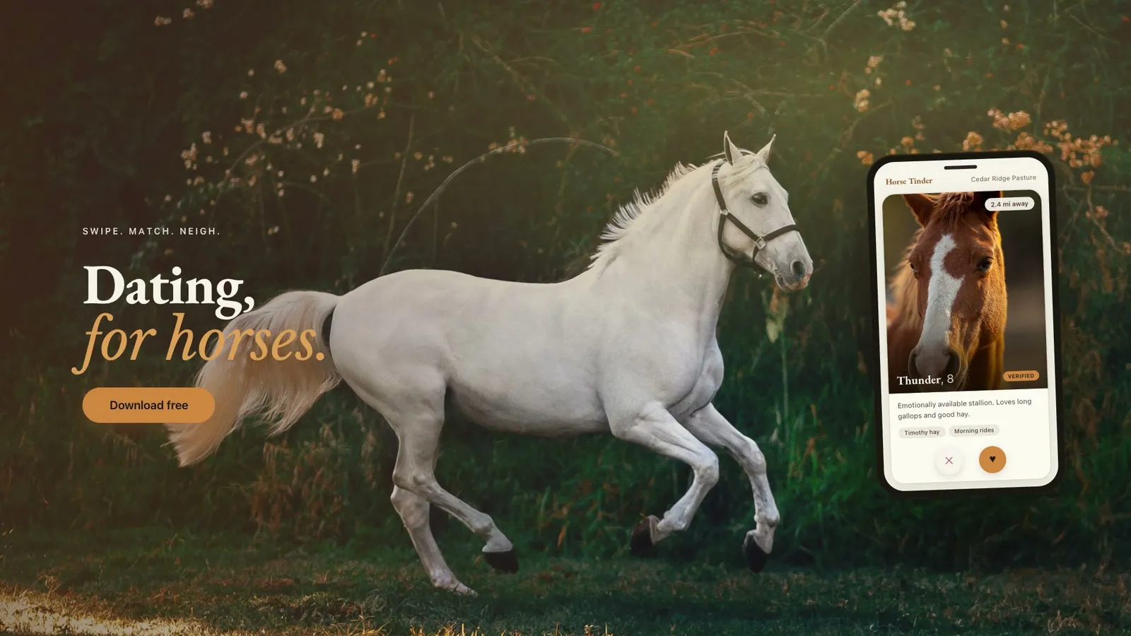 horse-tinder 示例