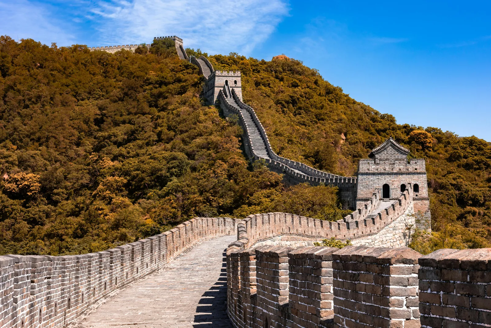 演示图 2：角色与场景