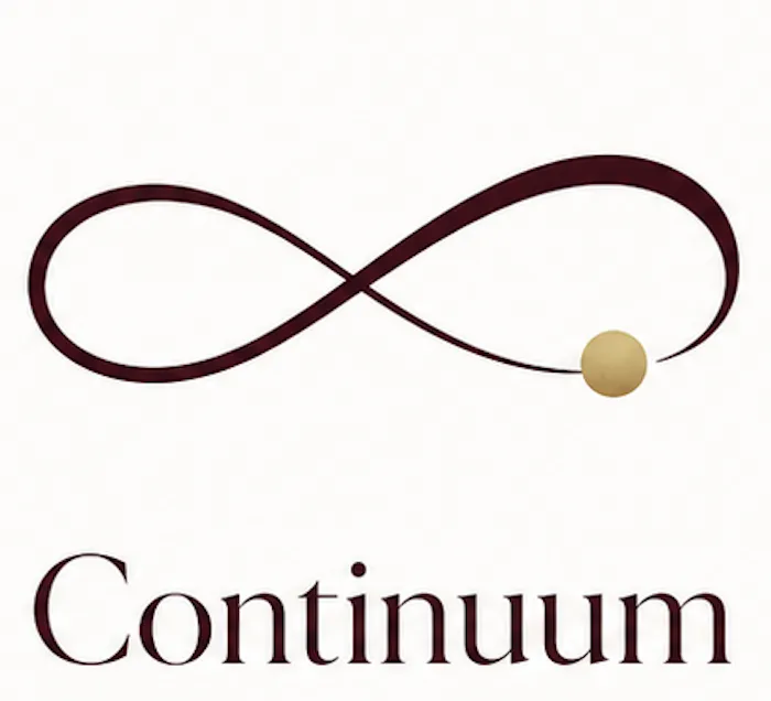 Continuum 像素源图